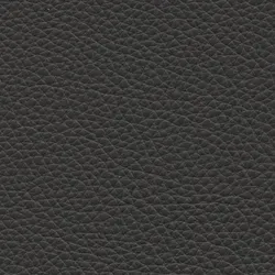 Grigio scuro  material_farbe