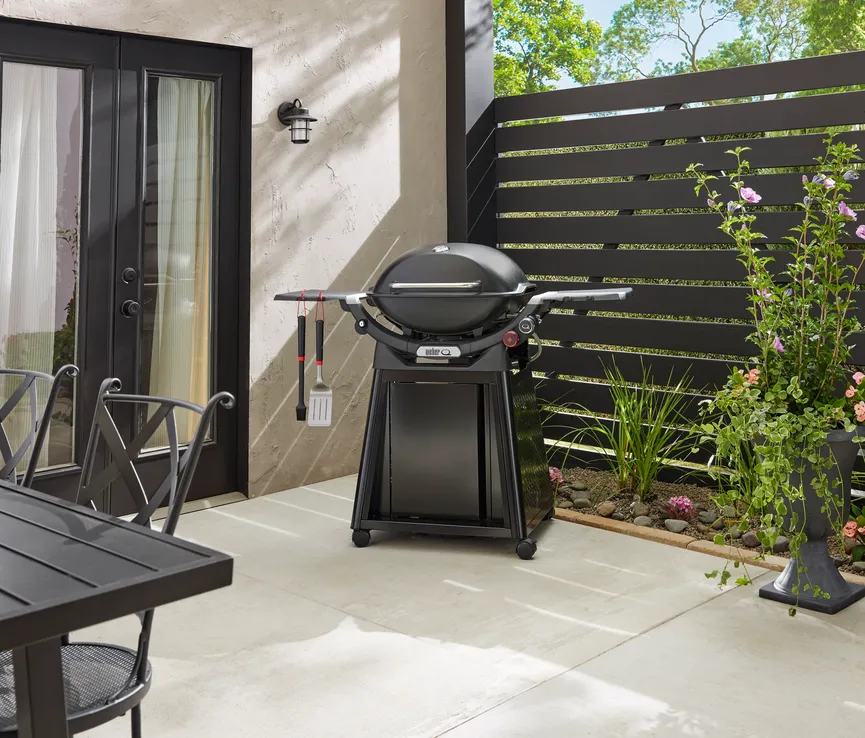 Weber Q3200N+ milieu
