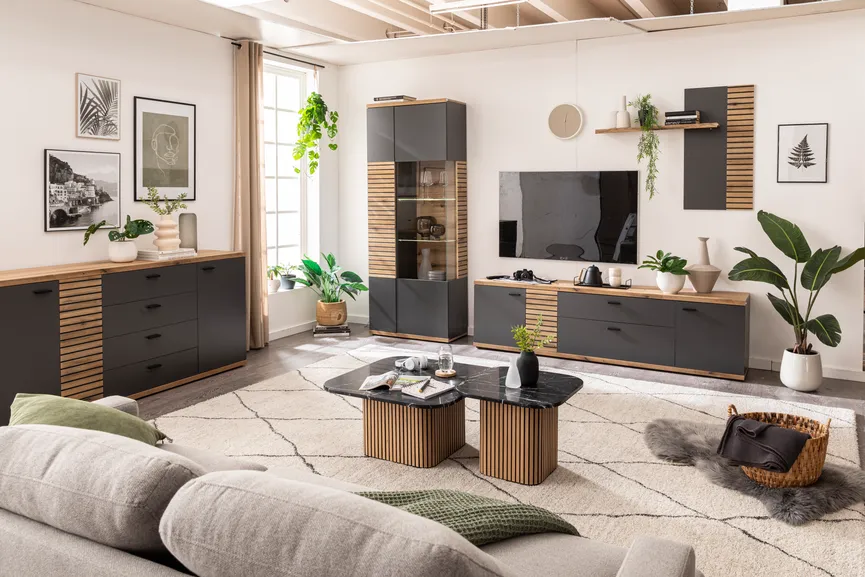 Sideboard 2-trg. milieu