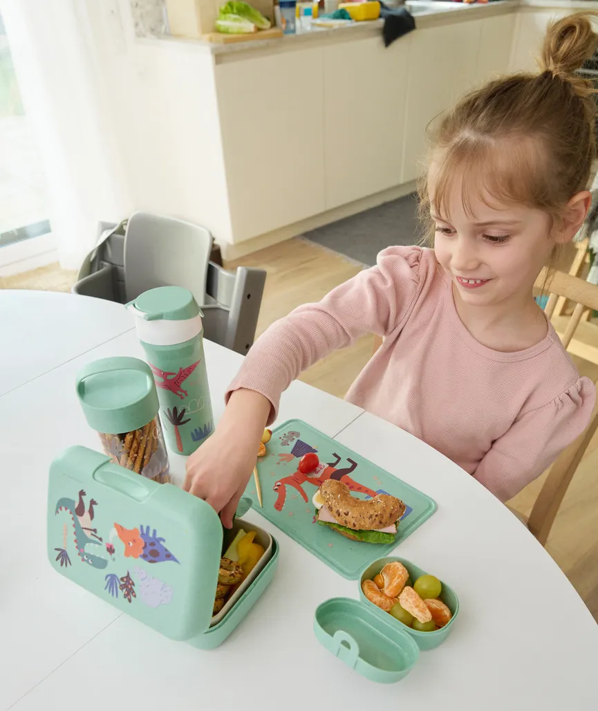 Snackbox "Rex" milieu