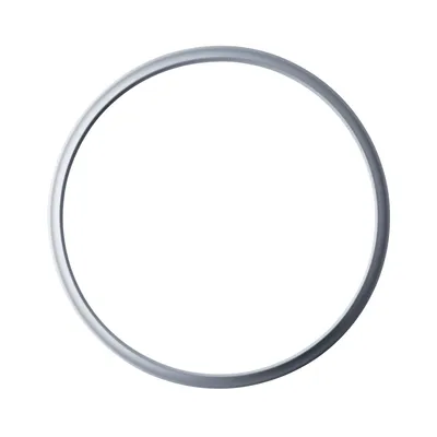 Dichtungsring