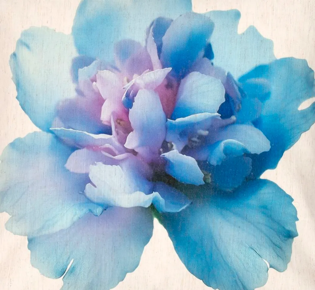 material_farbe