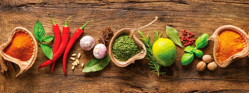 Küche / Kräuter - Herbs and Sp hauptaufnahme