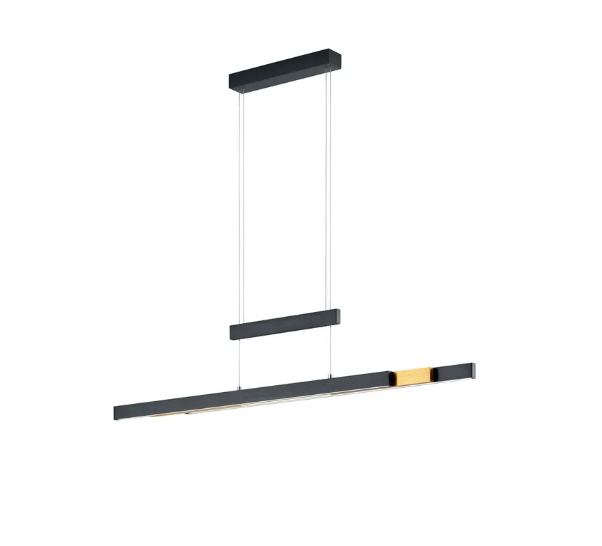 Pendelleuchte "Trajan" detail