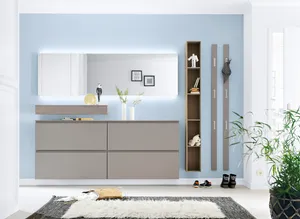Hänge-Schuhschrank