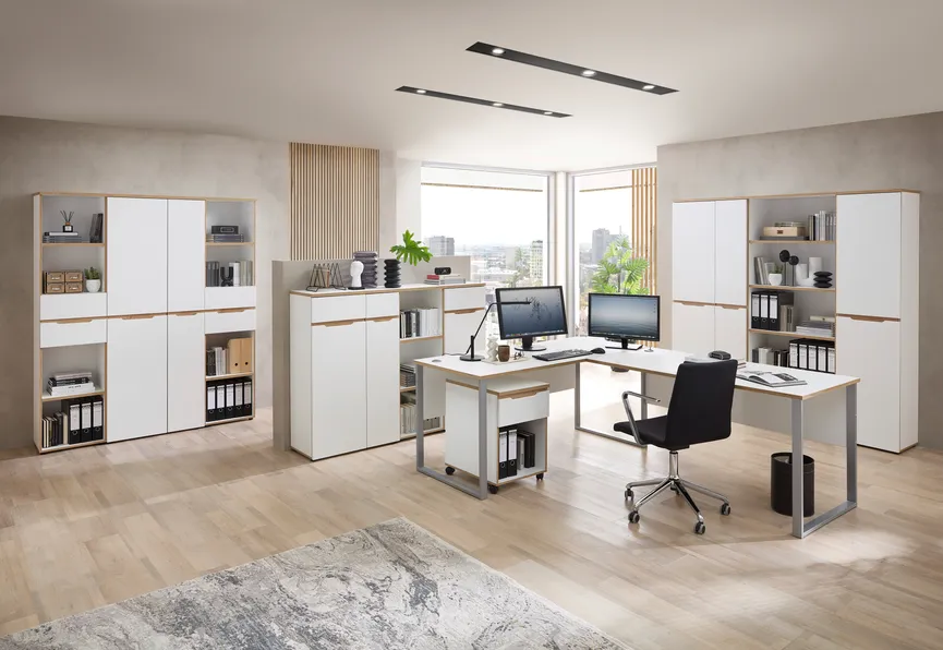 Büroschrank milieu