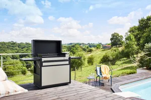 Plancha und Planchawagen