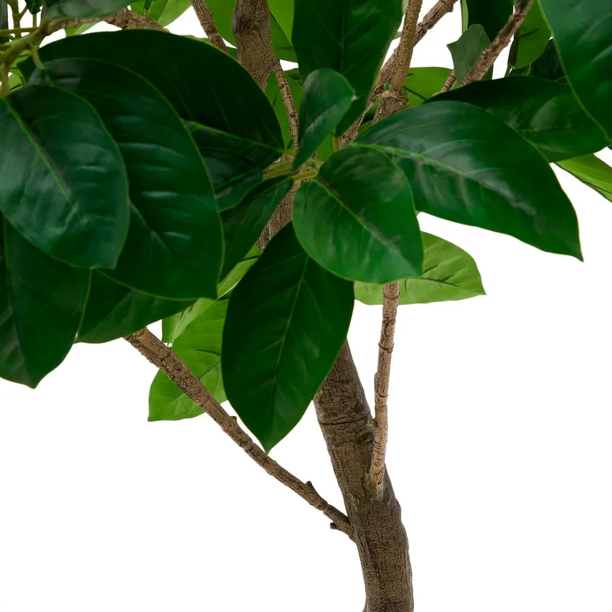 Kunstbaum Fikus detail