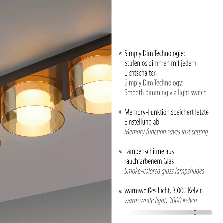 Deckenleuchte "Rika" detail
