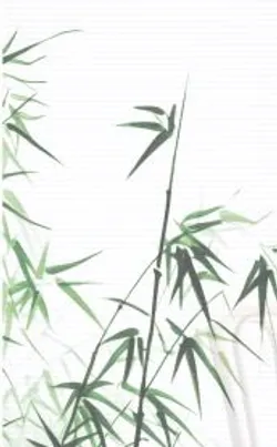 Grün material_farbe
