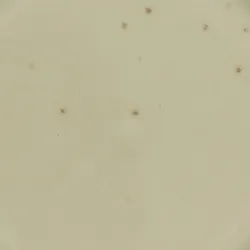 Creme material_farbe