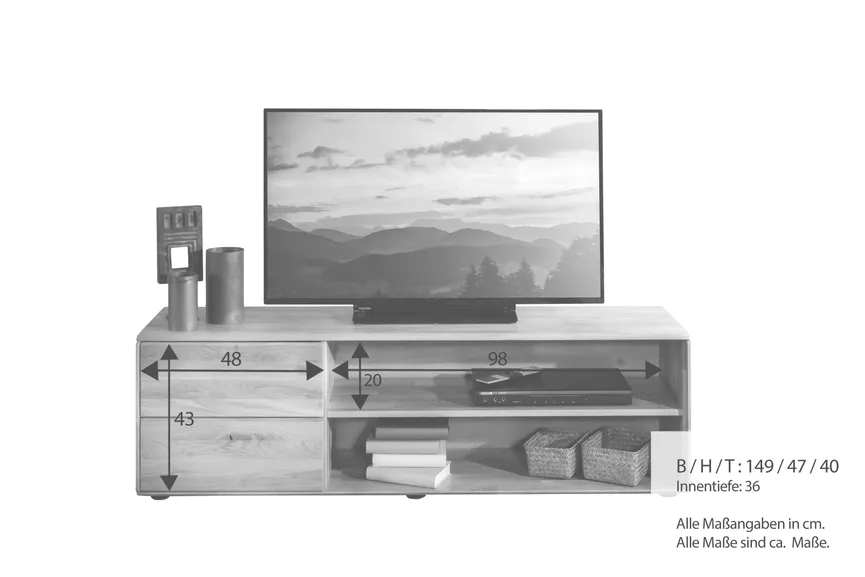 TV-Lowboard 1T/2F detail