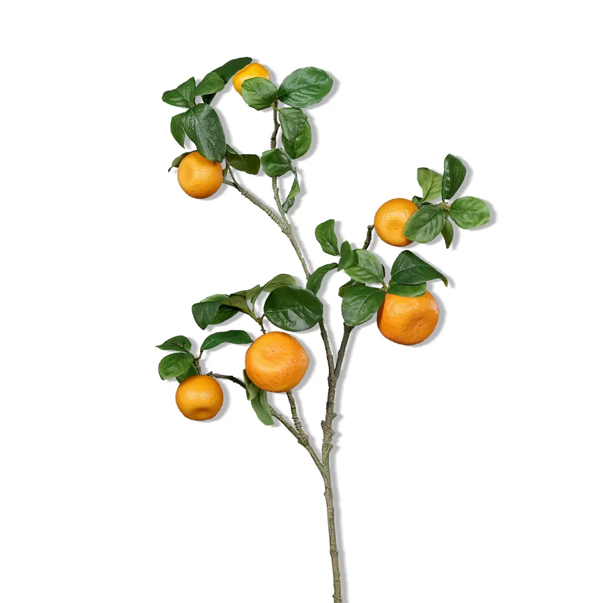 Orangenzweig hauptaufnahme