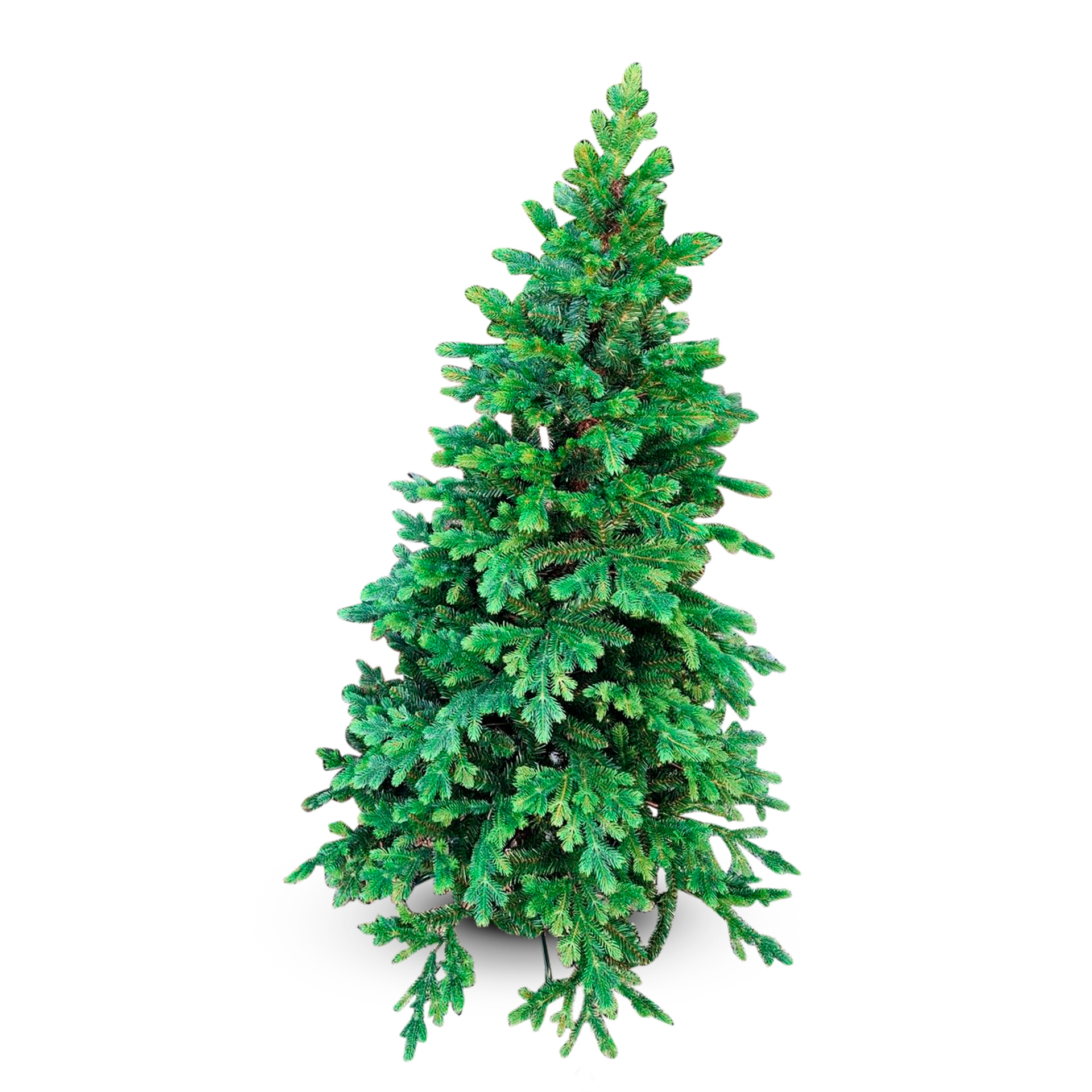 Weihnachtsbaum