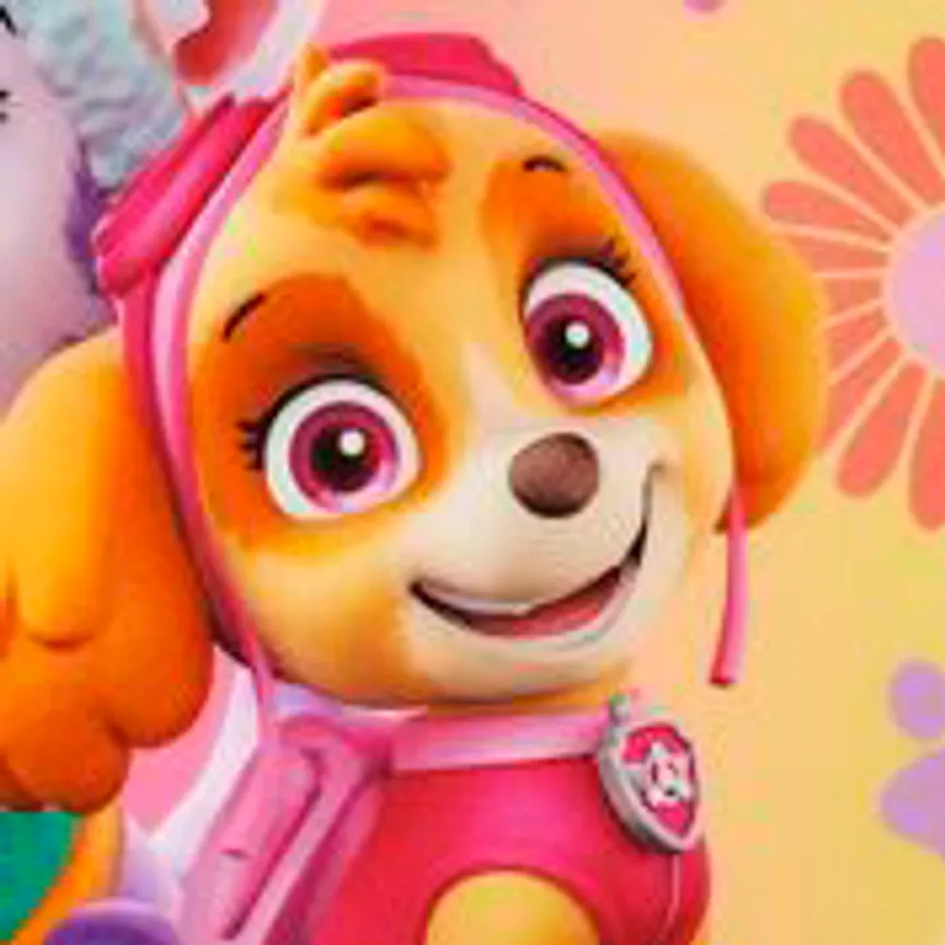 Trinkflasche pop-up campus material_farbe