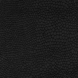 Black material_farbe