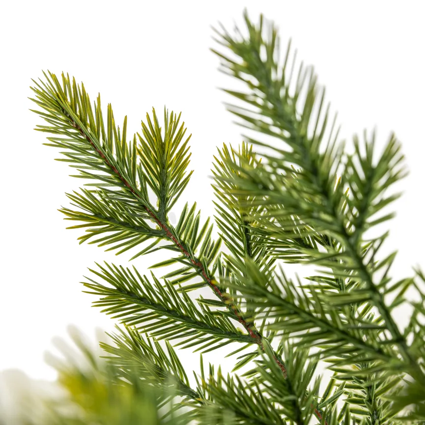 Tannenbaum S material_farbe