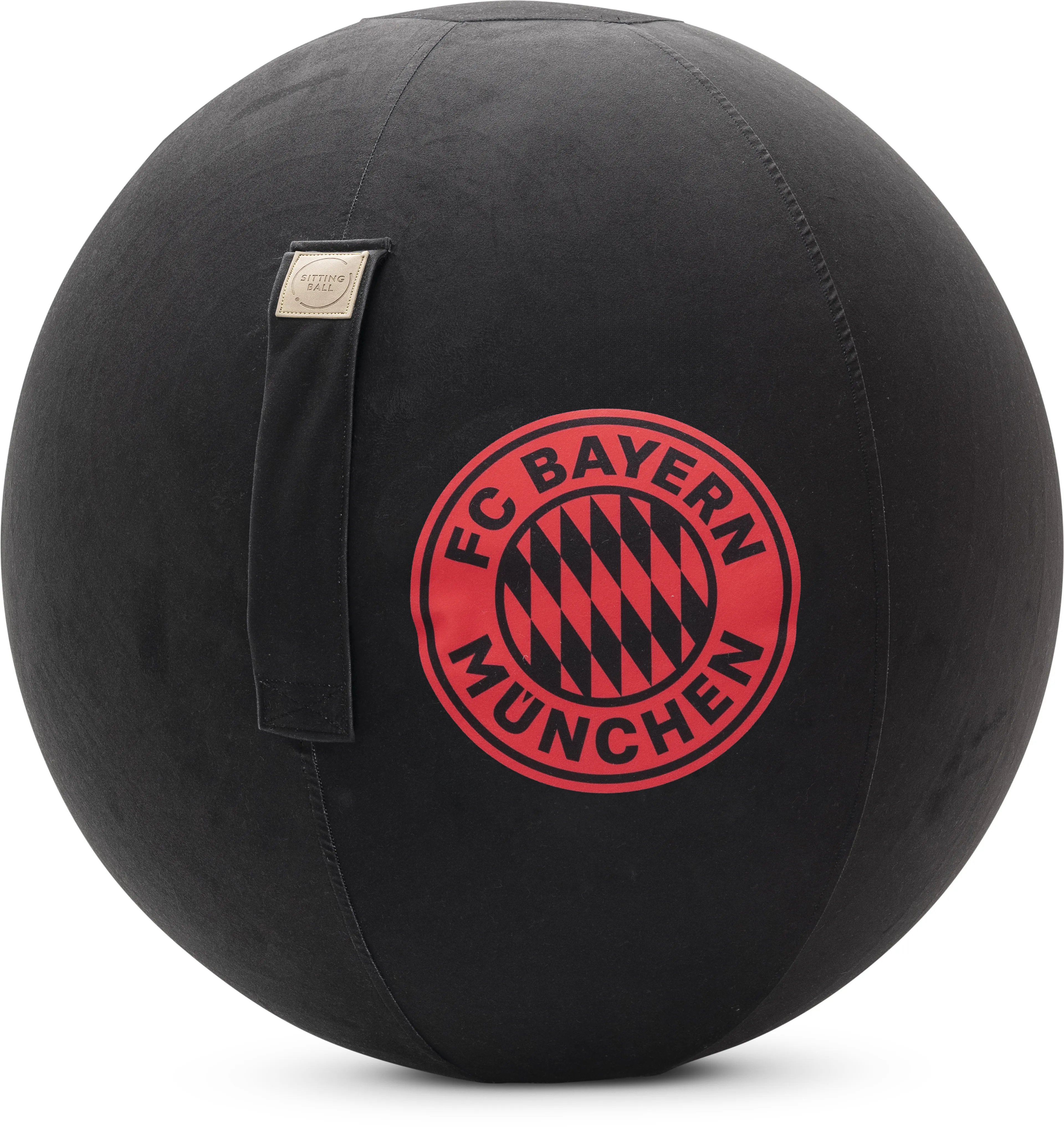 Sitzball FCB