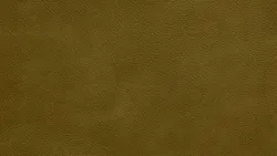 Cactus material_farbe