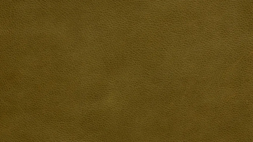 Sessel Yoko-2 DK bronziert material_farbe