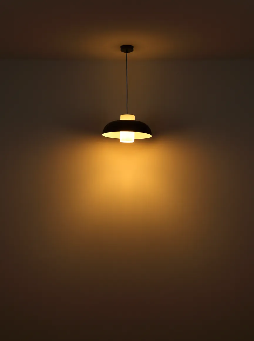 Pendelleuchte "Lowe" detail