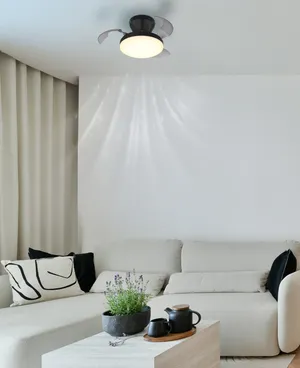 Deckenventilator