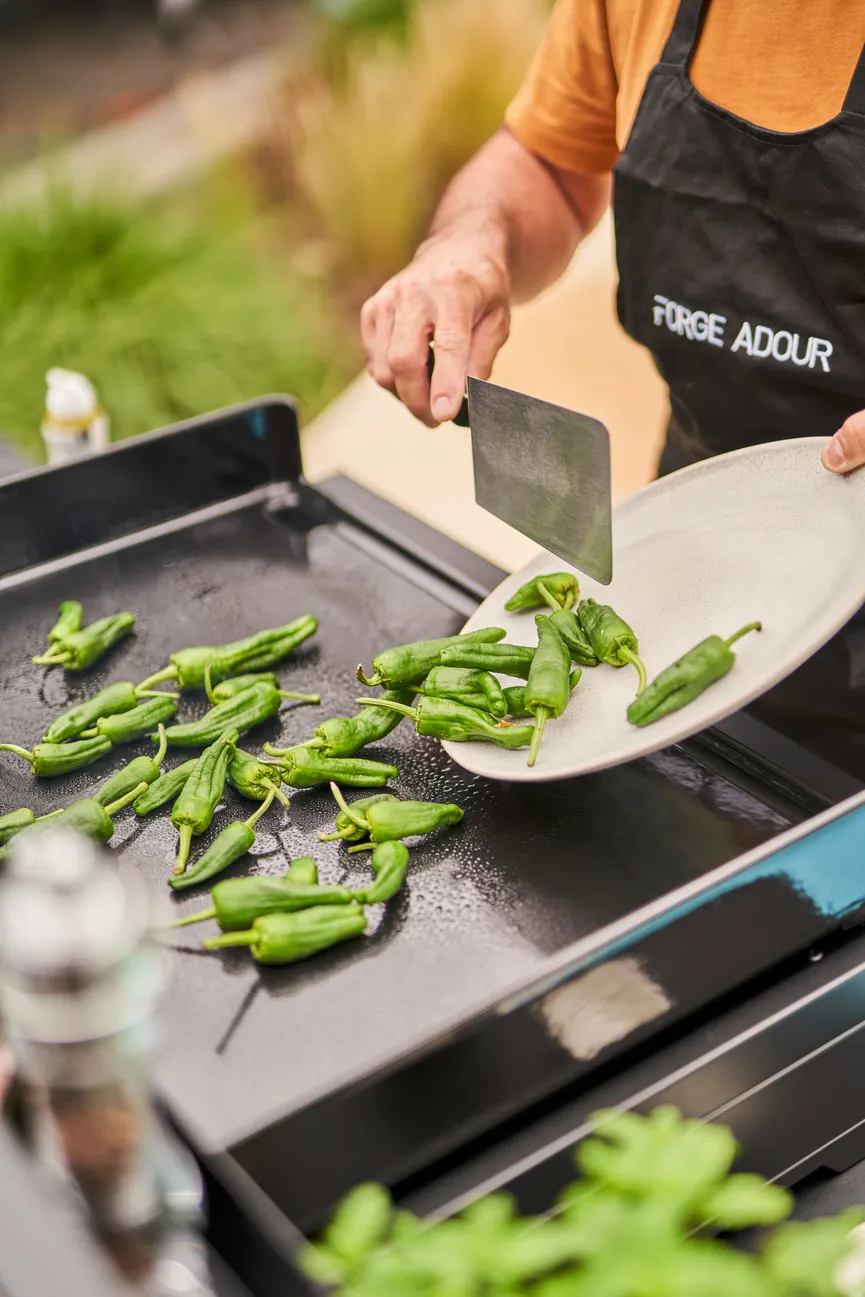 Elektroplancha 45 milieu