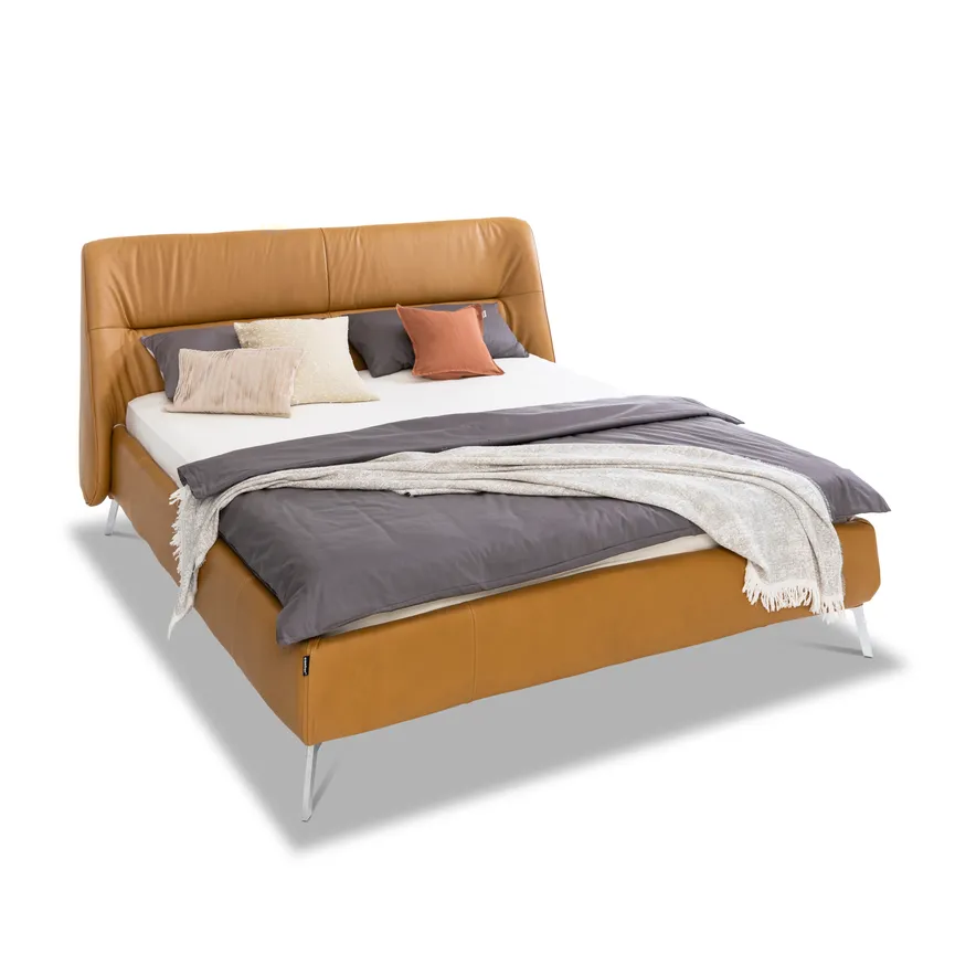 Polsterbett Design 1 hauptaufnahme