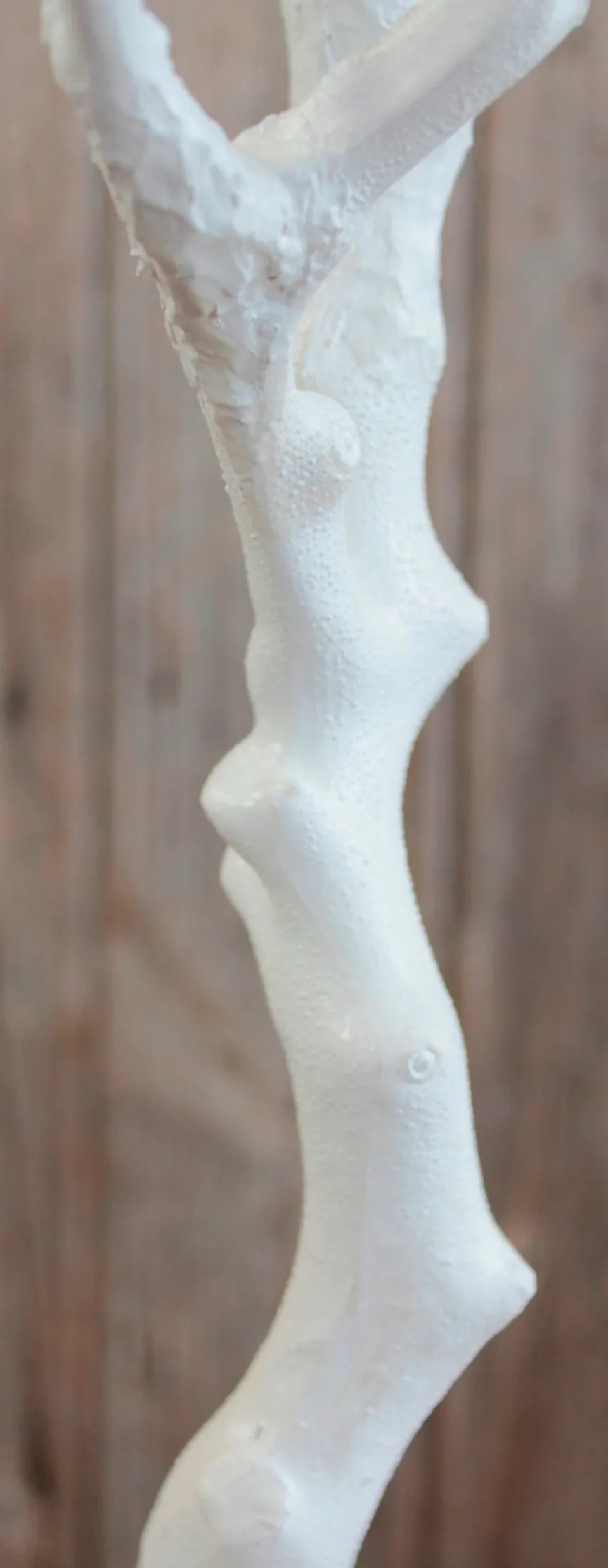 Ast L weiß detail