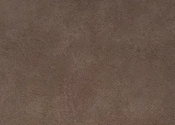 Liver material_farbe