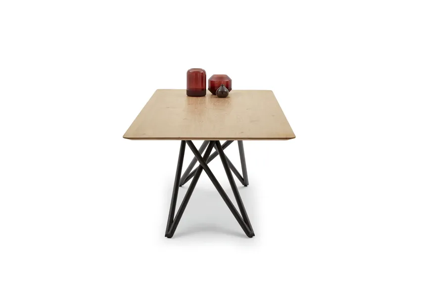 Esstisch 6801 detail