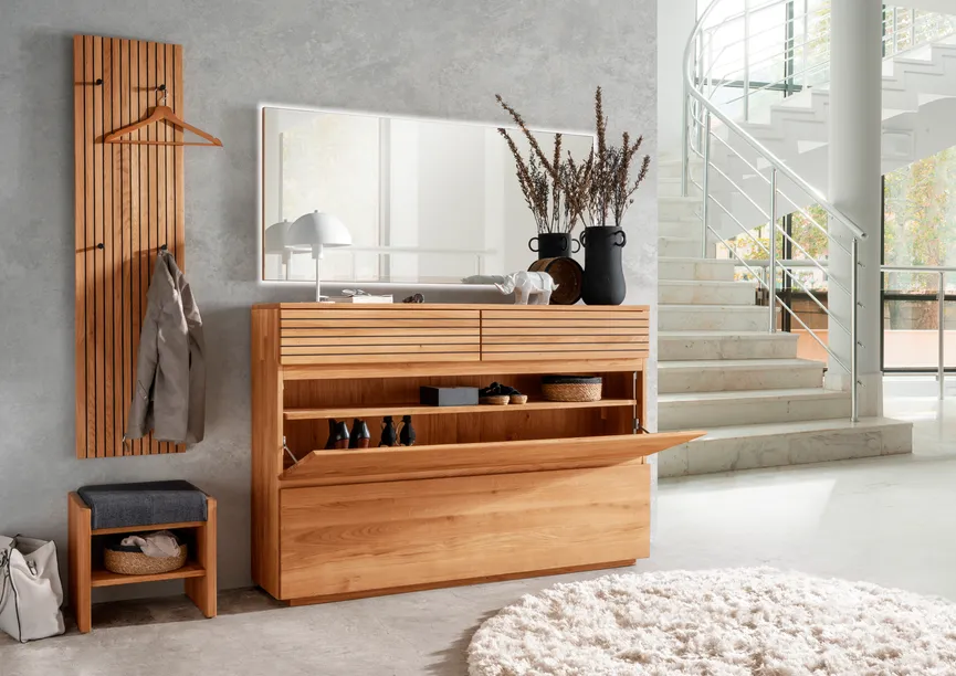 Schuhklappenschrank milieu