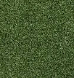 Forest material_farbe