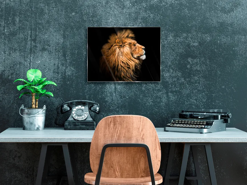 Tiere / Löwe / Lion III milieu