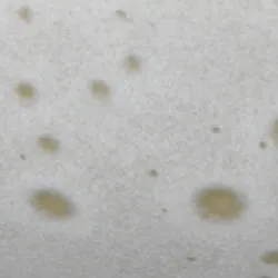 Hellgrau material_farbe