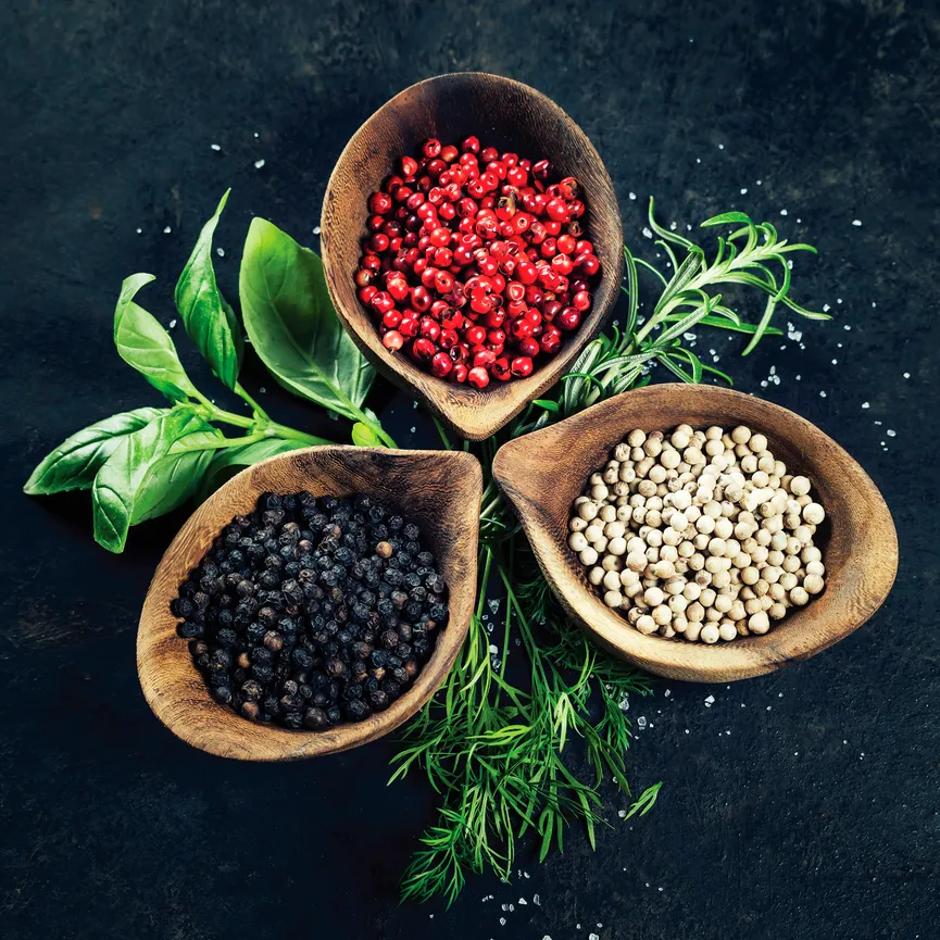 Küche / Kräuter / Herbs and Sp hauptaufnahme