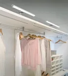 milieu