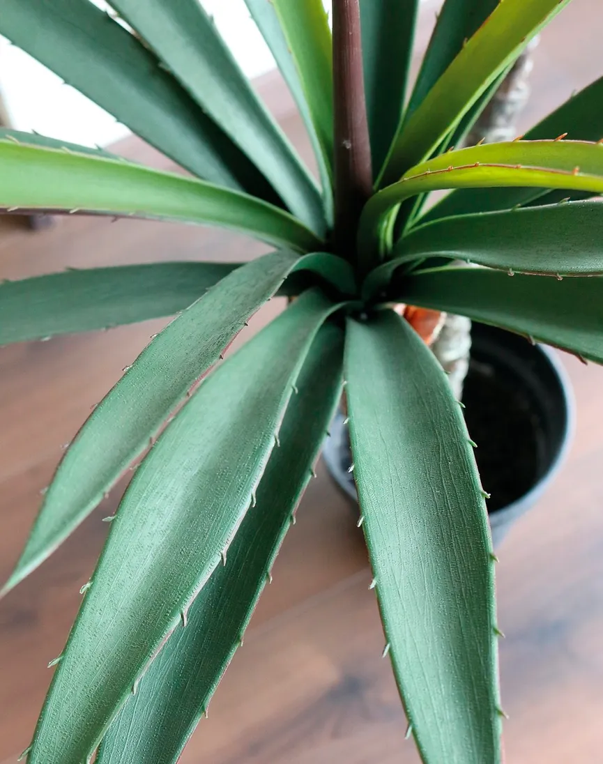 Palme grün detail