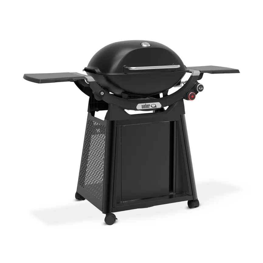 Weber Q3200N+ detail