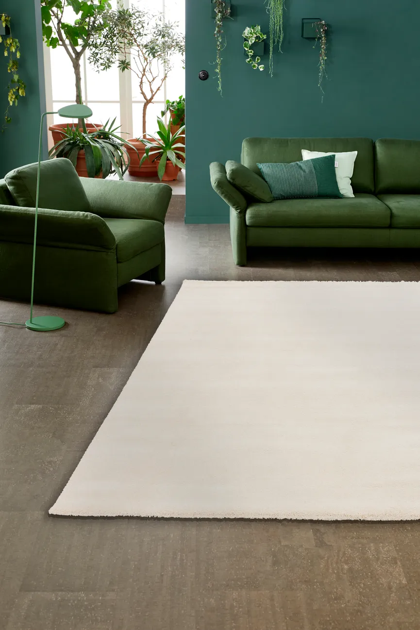 Schöner Wohnen milieu