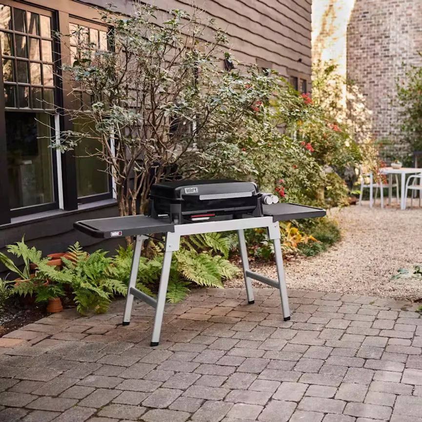 GP 56cm Premium Plancha milieu