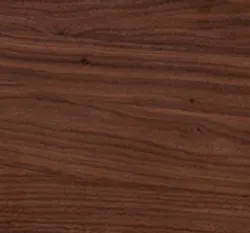 Nussbaum material_farbe