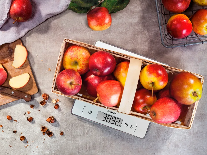 Küchenwaage Page Comfort 400 milieu