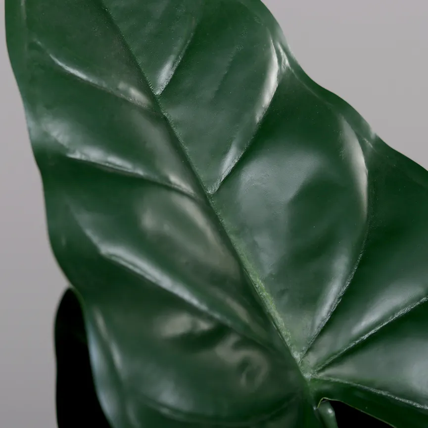 Calla grün detail