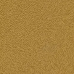 Kurkuma material_farbe