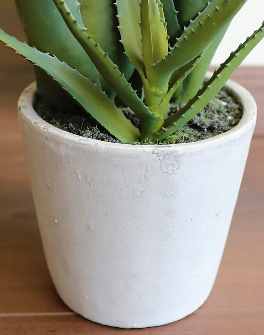 Aloe S grün detail