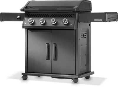 Gasgrill