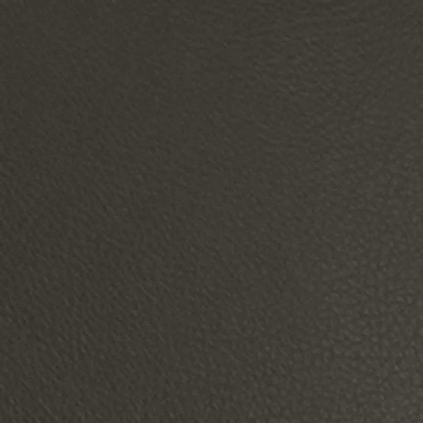 Armlehn-Stuhl (2 Stück) material_farbe