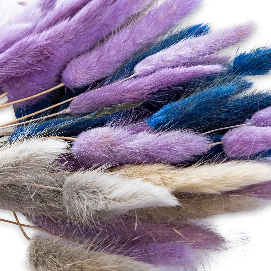 Strauß "Samtgras" detail