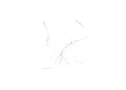 Marmoroptik material_farbe